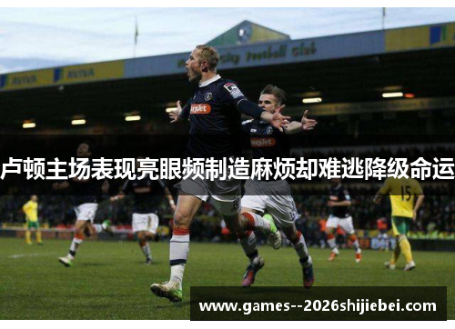 卢顿主场表现亮眼频制造麻烦却难逃降级命运